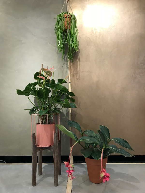 Vt wonen beurs beton ciré wand en metal stuc wand met hang plant en 2 staande planten
